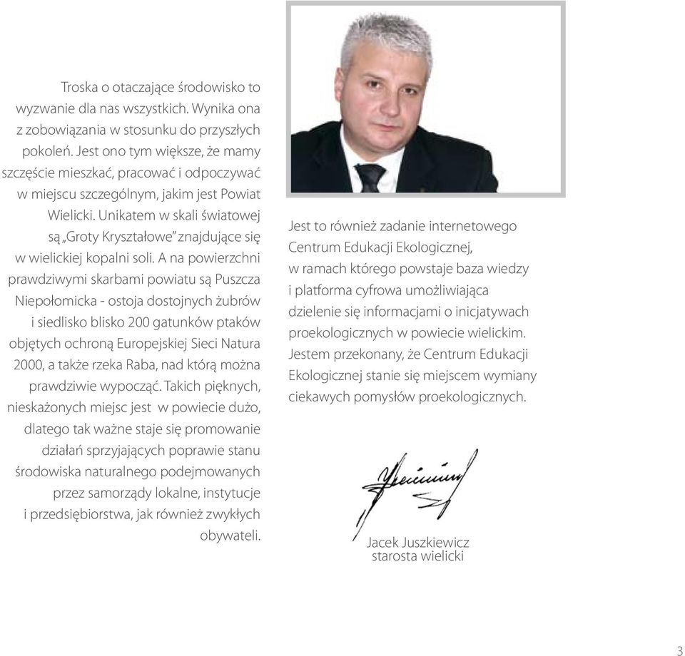 Unikatem w skali światowej są Groty Kryształowe znajdujące się w wielickiej kopalni soli.