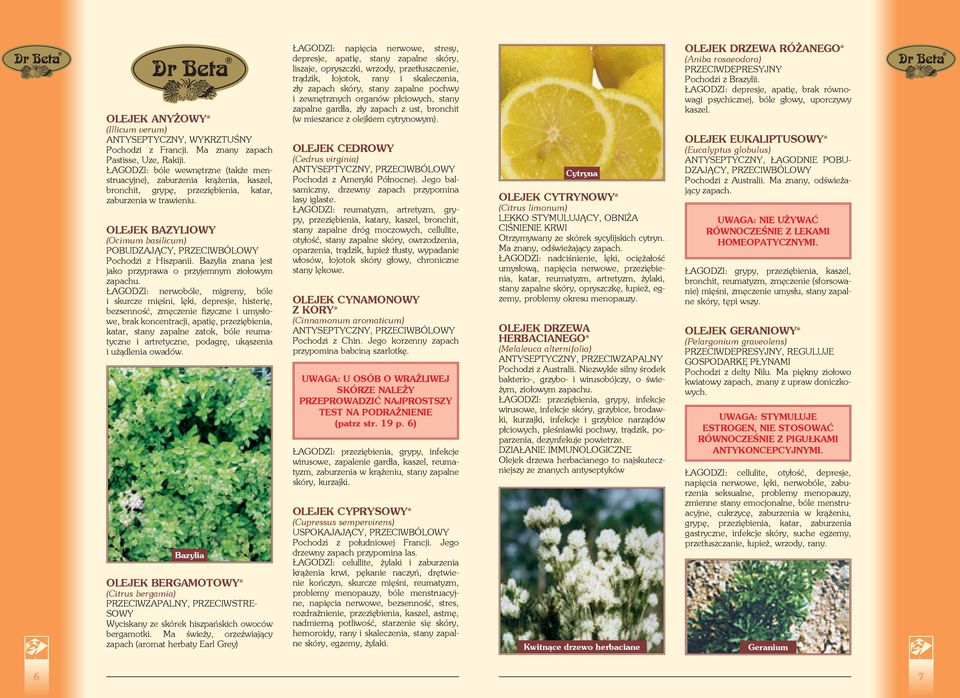 OLEJEK BAZYLIOWY (Ocimum basilicum) POBUDZAJĄCY, PRZECIWBÓLOWY Pochodzi z Hiszpanii. Bazylia znana jest jako przyprawa o przyjemnym ziołowym zapachu.