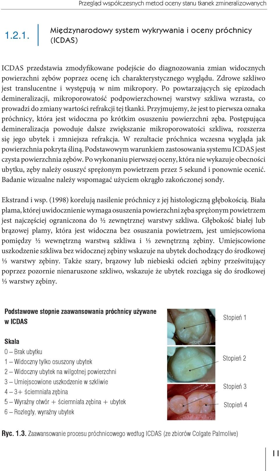wyglądu. Zdrowe szkliwo jest translucentne i występują w nim mikropory.