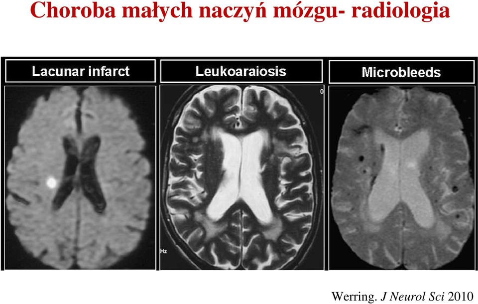 radiologia