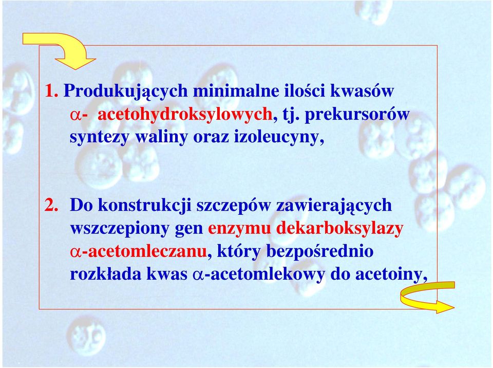 Do konstrukcji szczepów zawierających wszczepiony gen enzymu