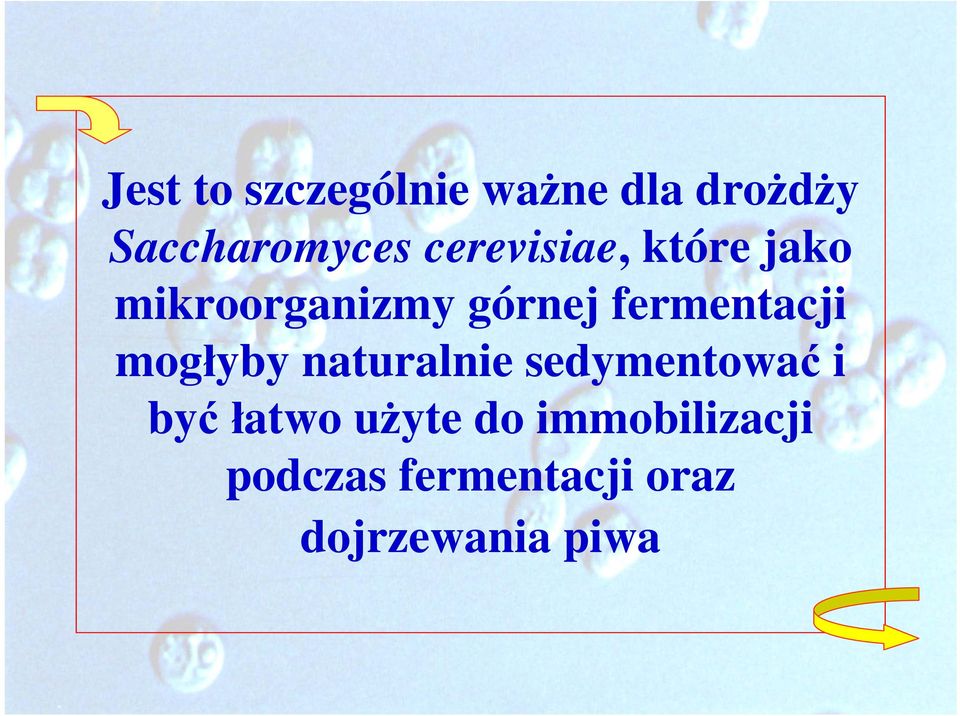 fermentacji mogłyby naturalnie sedymentować i byćłatwo