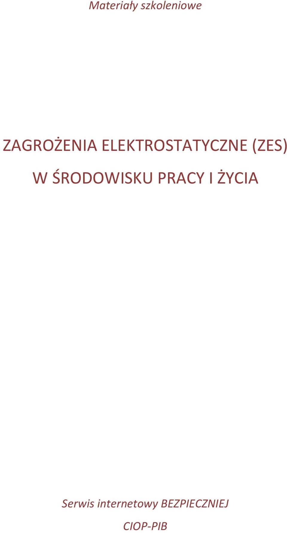 (ZES) W ŚRODOWISKU PRACY I