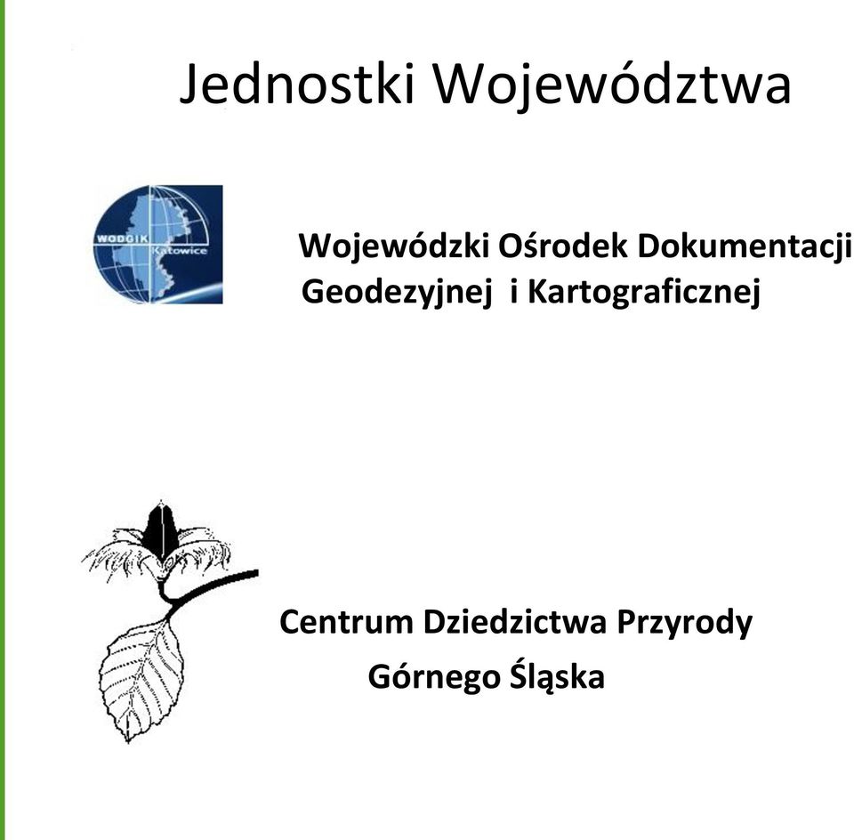 Geodezyjnej i Kartograficznej