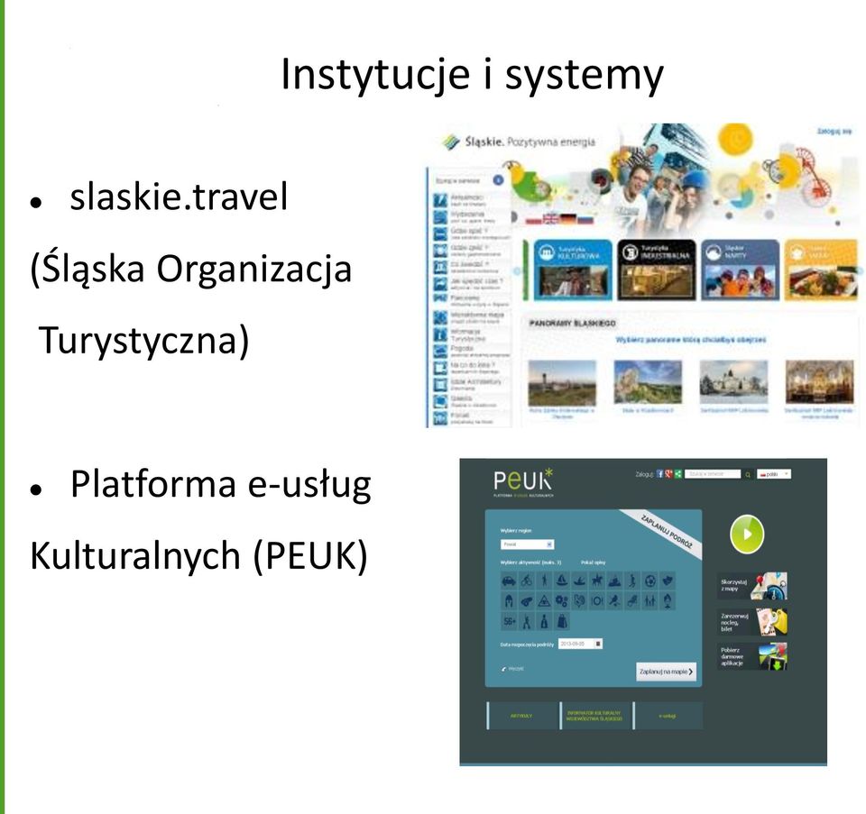 travel (Śląska Organizacja