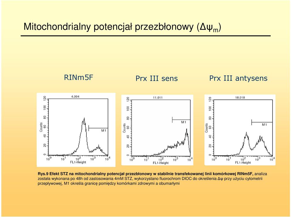 RINm5F, analiza została wykonana po 48h od zastosowania 4mM STZ, wykorzystano fluorochrom DIOC do