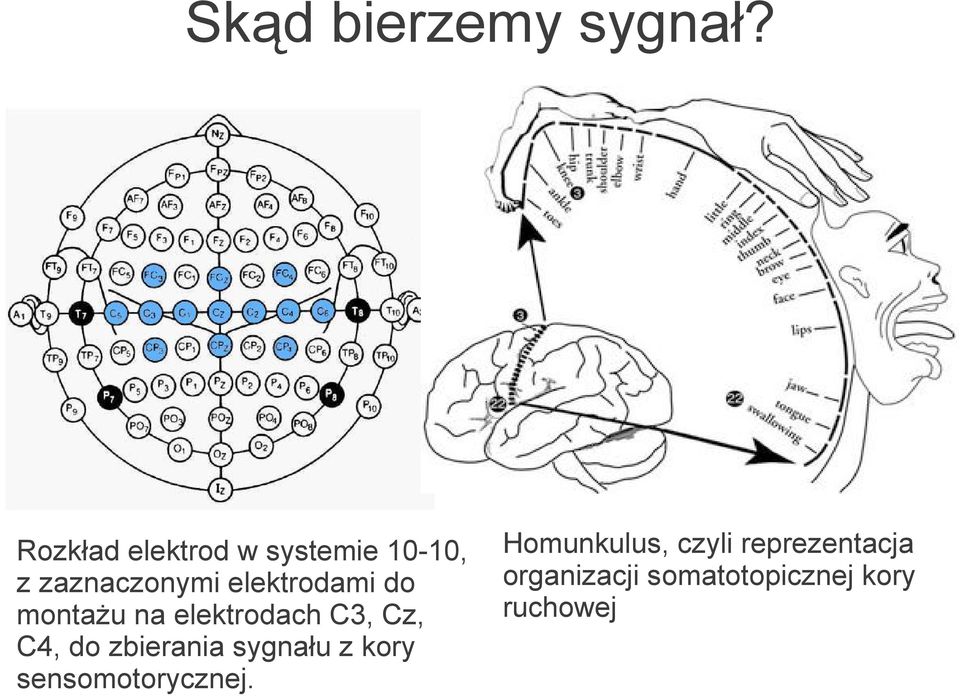 elektrodami do montażu na elektrodach C3, Cz, C4, do