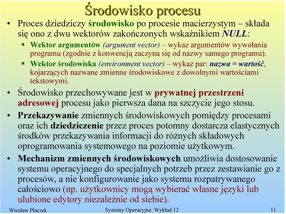 Wektor środowiska (environment vector) wykaz par: nazwa = wartość, kojarzących nazwane zmienne środowiskowe z dowolnymi wartościami tekstowymi.