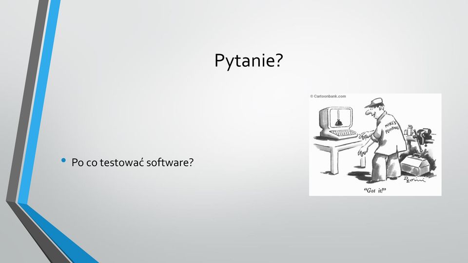 software?