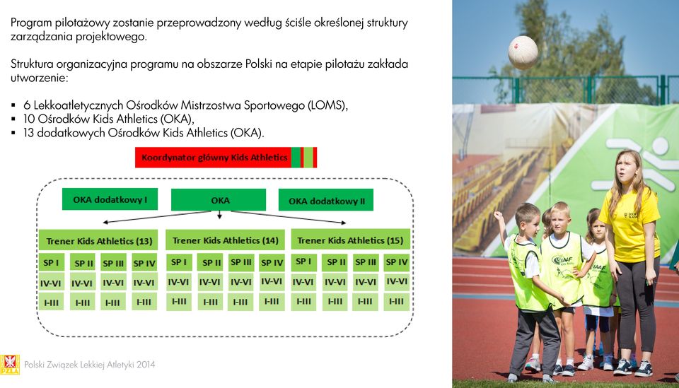 Struktura organizacyjna programu na obszarze Polski na etapie pilotażu zakłada