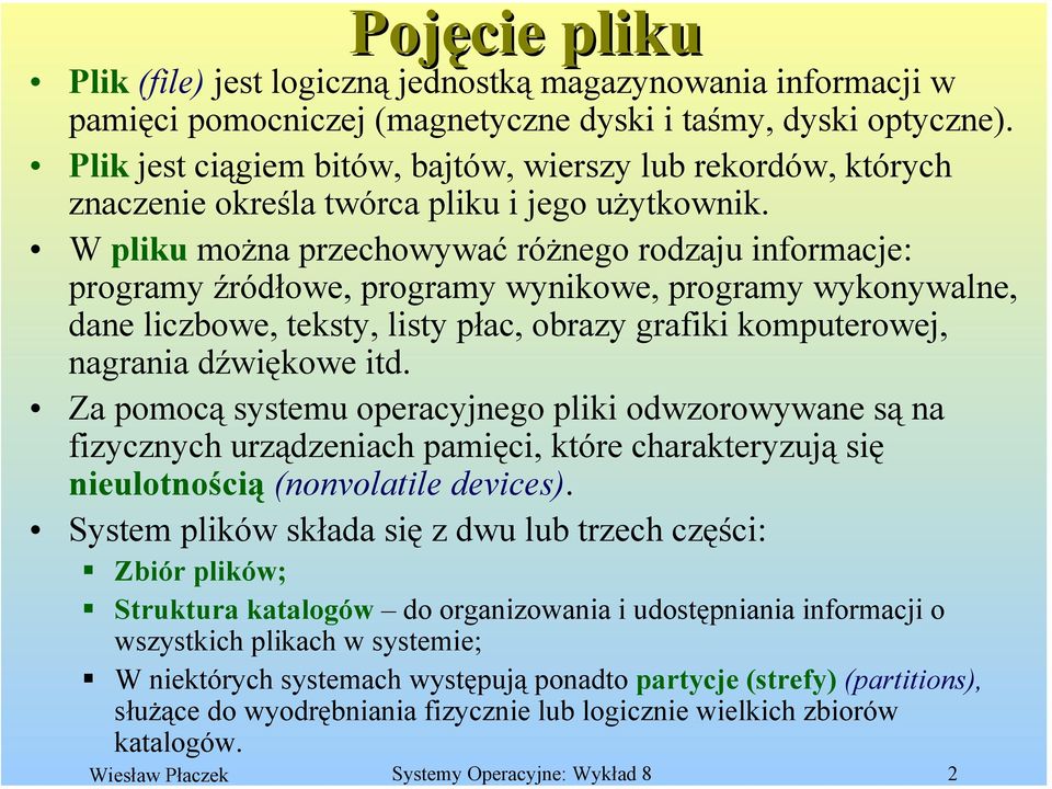 W pliku można przechowywać różnego rodzaju informacje: programy źródłowe, programy wynikowe, programy wykonywalne, dane liczbowe, teksty, listy płac, obrazy grafiki komputerowej, nagrania dźwiękowe