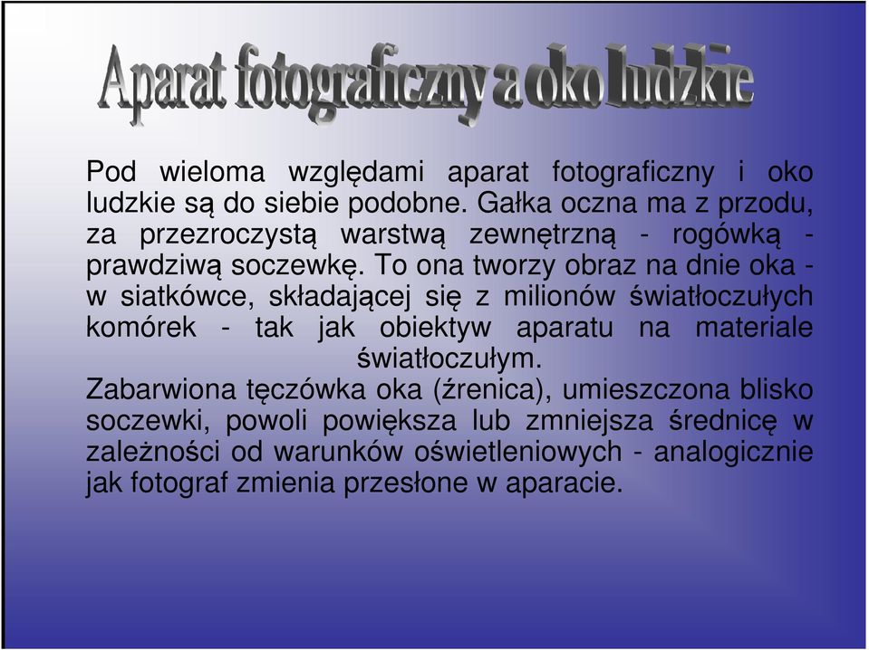 To ona tworzy obraz na dnie oka - w siatkówce, składającej się z milionów światłoczułych komórek - tak jak obiektyw aparatu na