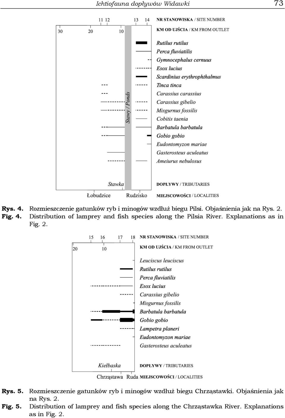 Explanations as in Fig. 2. Rys. 5. Rozmieszczenie gatunków ryb i minogów wzdłuż biegu Chrząstawki.