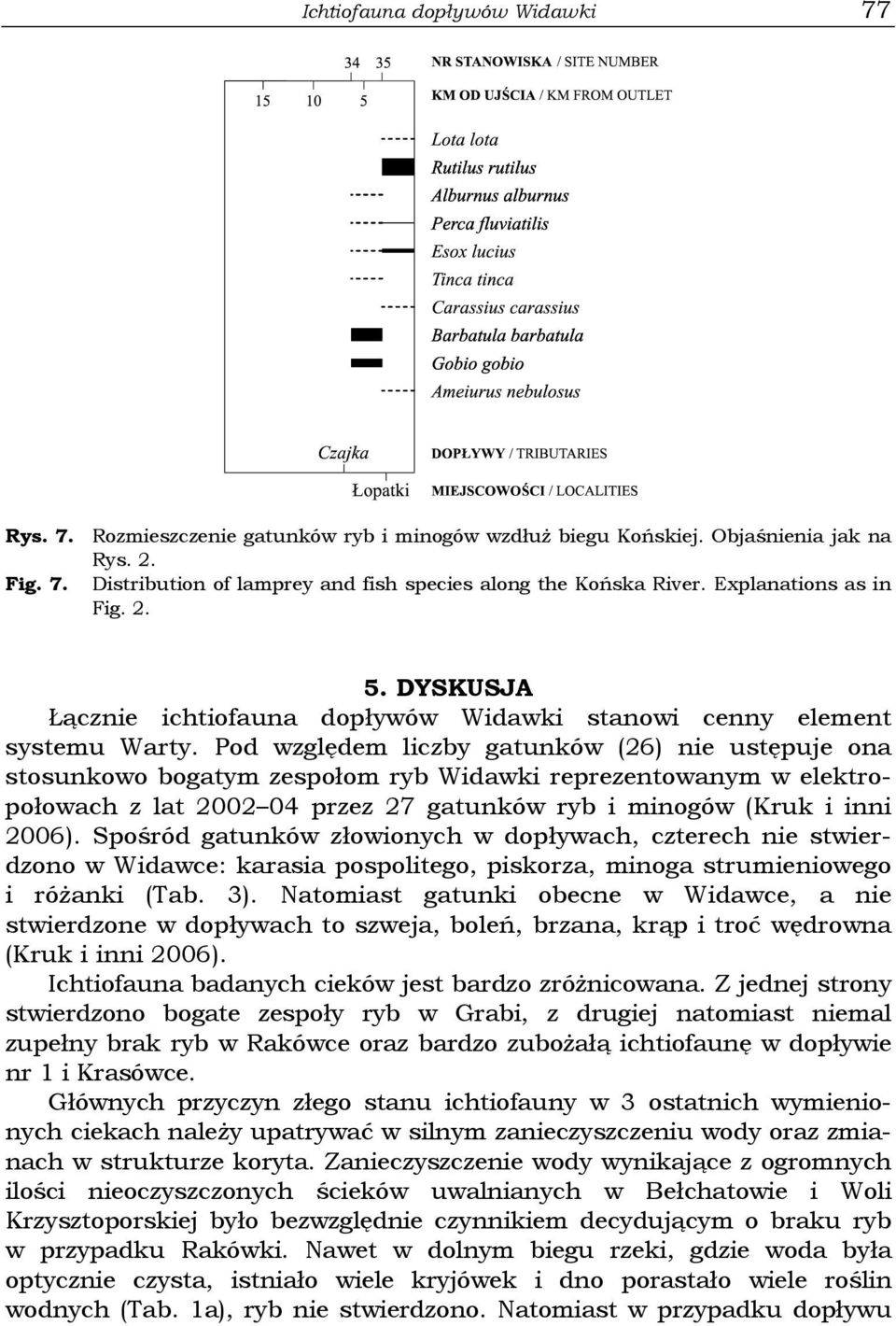 Pod względem liczby gatunków (26) nie ustępuje ona stosunkowo bogatym zespołom ryb Widawki reprezentowanym w elektropołowach z lat 2002 04 przez 27 gatunków ryb i minogów (Kruk i inni 2006).