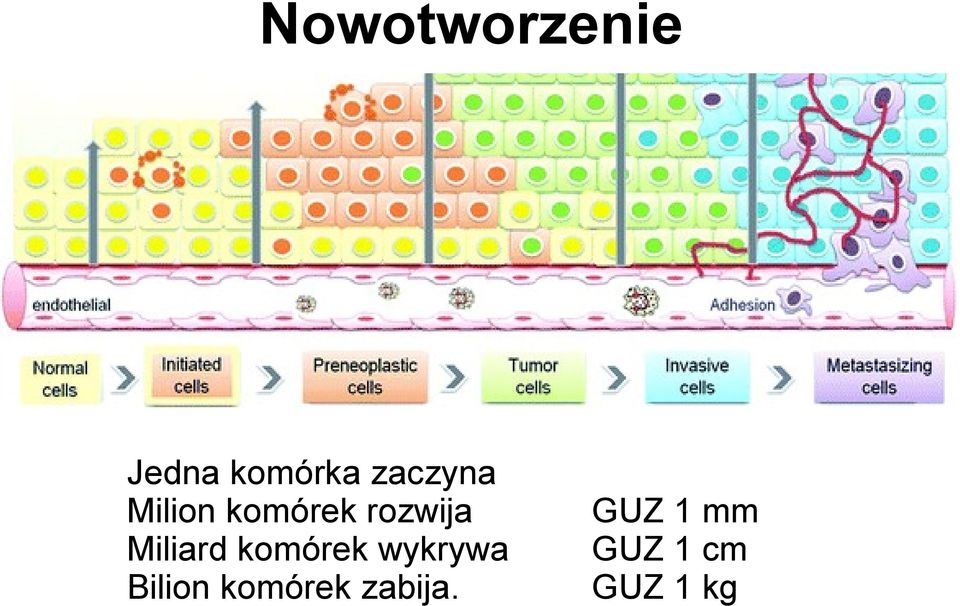 Miliard komórek wykrywa Bilion