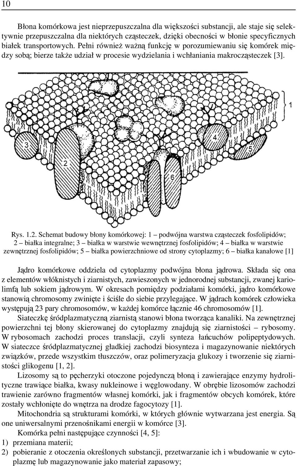 Schemat budowy błony komórkowej: 1 podwójna warstwa cząsteczek fosfolipidów; 2 białka integralne; 3 białka w warstwie wewnętrznej fosfolipidów; 4 białka w warstwie zewnętrznej fosfolipidów; 5 białka
