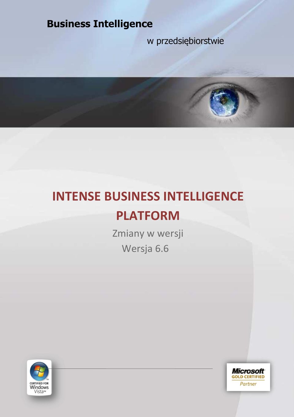 BUSINESS INTELLIGENCE