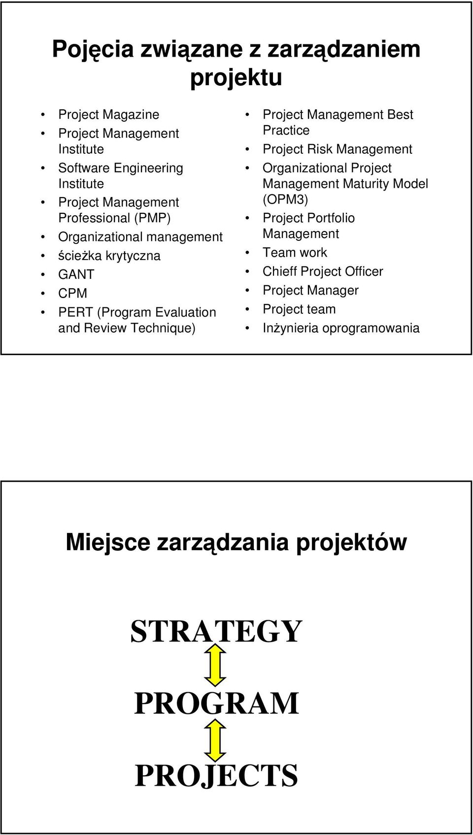 Project Management Best Practice Project Risk Management Organizational Project Management Maturity Model (OPM3) Project Portfolio