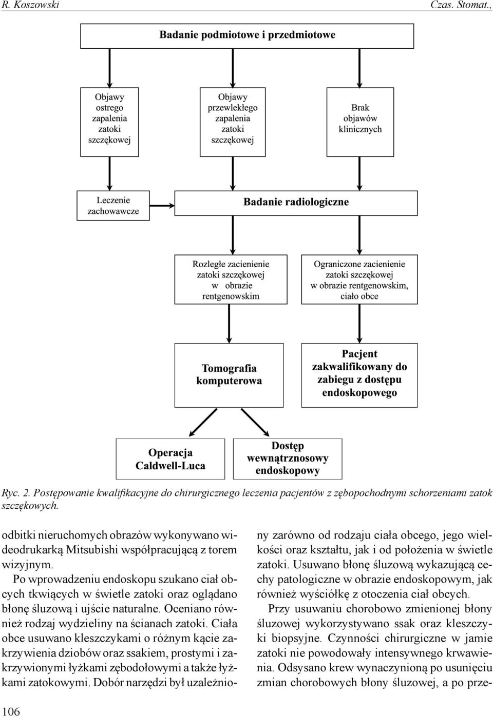 Po wprowadzeniu endoskopu szukano ciał obcych tkwiących w świetle zatoki oraz oglądano błonę śluzową i ujście naturalne. Oceniano również rodzaj wydzieliny na ścianach zatoki.