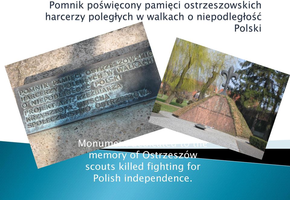 Ostrzeszów scouts