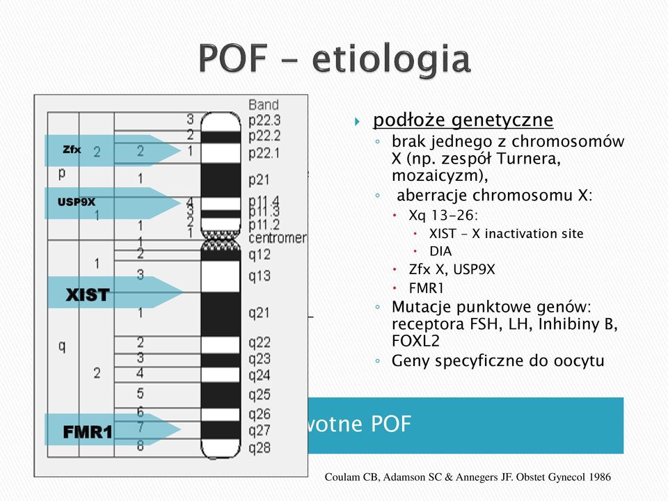 zespół Turnera, mozaicyzm), aberracje chromosomu X: Xq 13-26: XIST - X inactivation site DIA Zfx X, USP9X FMR1 Mutacje
