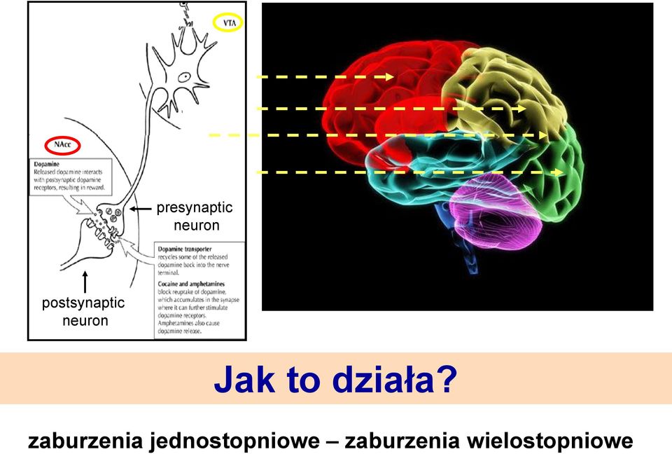 działa?