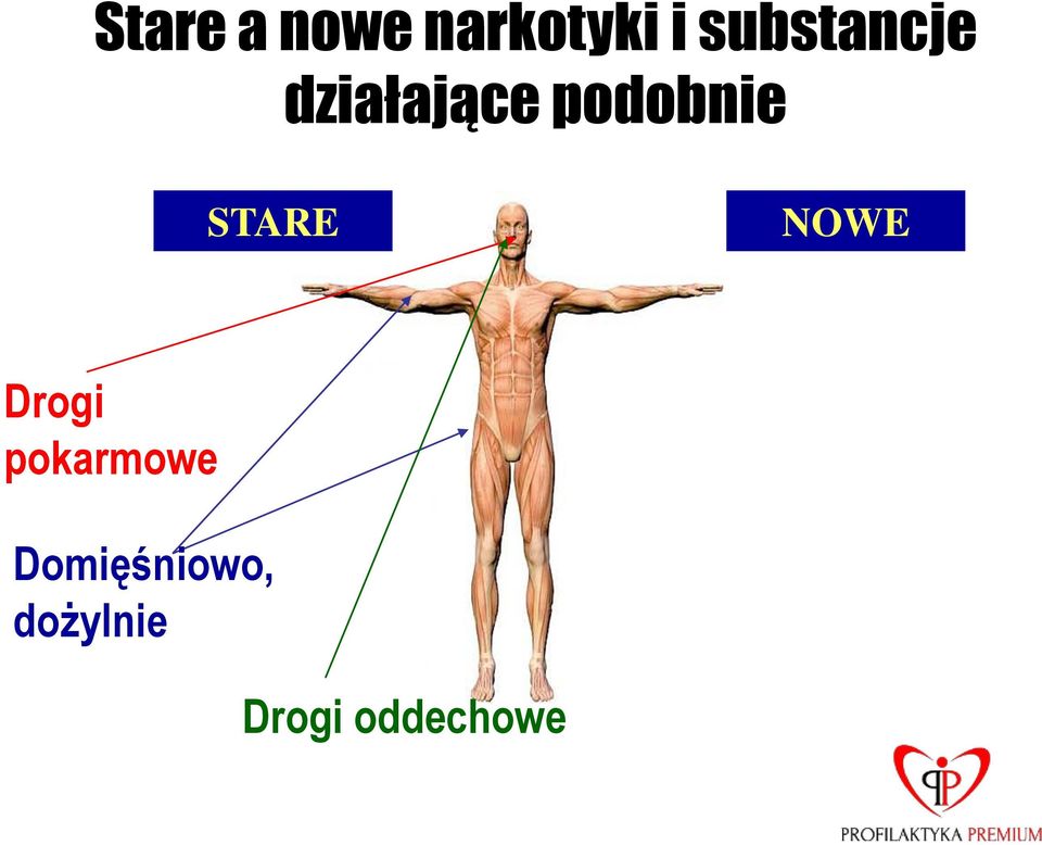 podobnie STARE NOWE Drogi