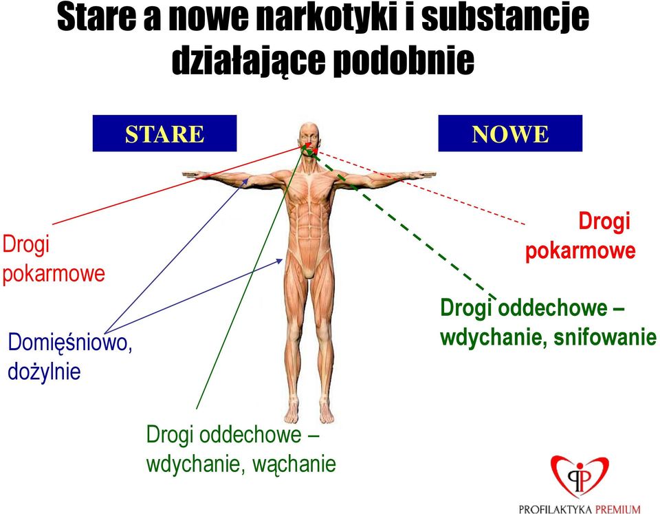 dożylnie Drogi pokarmowe Drogi oddechowe