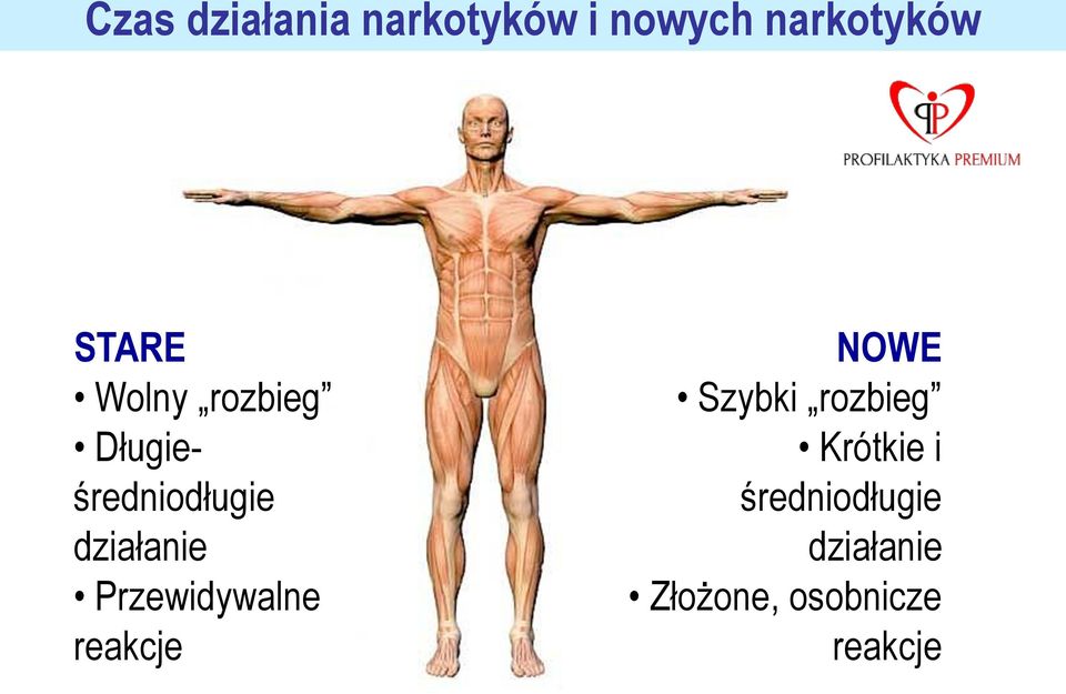 Przewidywalne reakcje NOWE Szybki rozbieg Krótkie