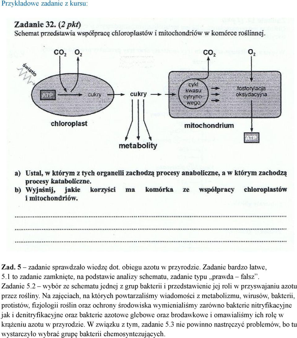 2 wybór ze schematu jednej z grup bakterii i przedstawienie jej roli w przyswajaniu azotu przez rośliny.