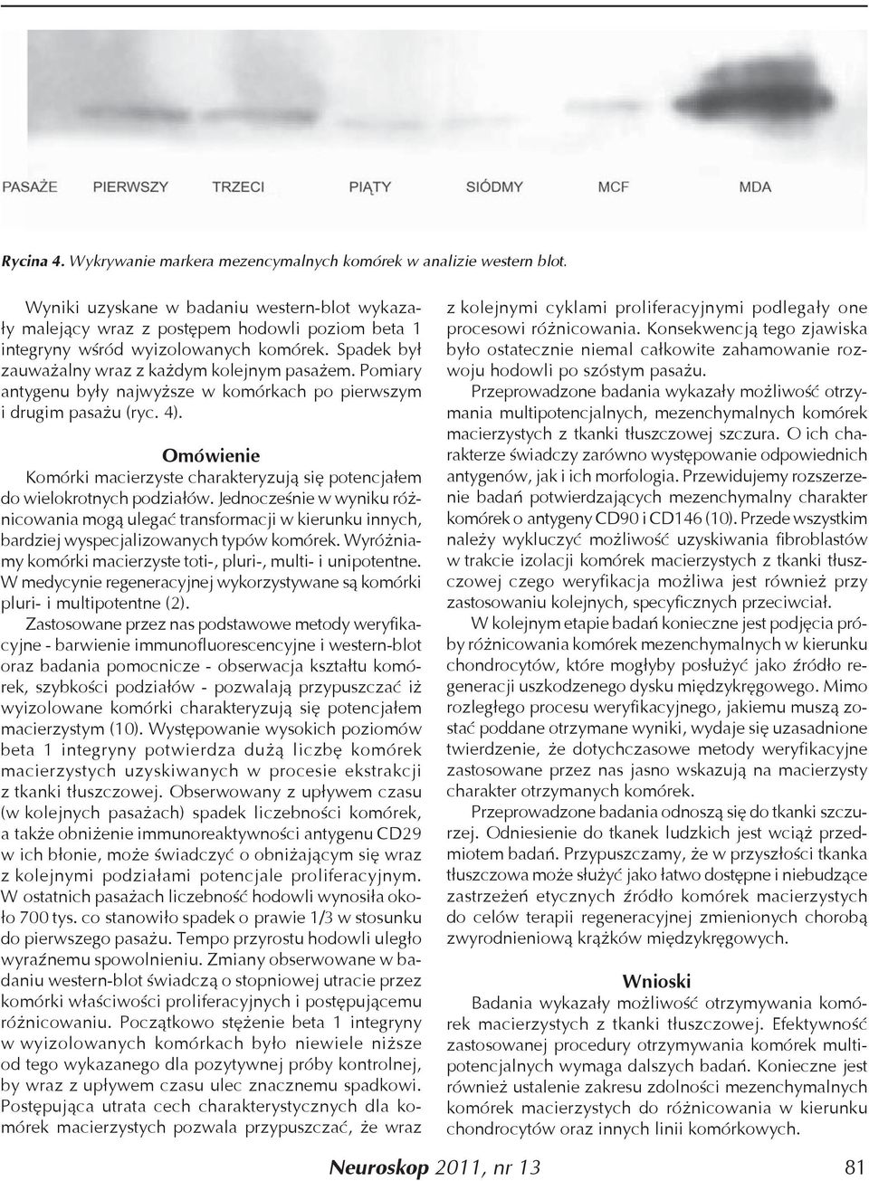 Pomiary antygenu były najwyższe w komórkach po pierwszym i drugim pasażu (ryc. 4). Omówienie Komórki macierzyste charakteryzują się potencjałem do wielokrotnych podziałów.