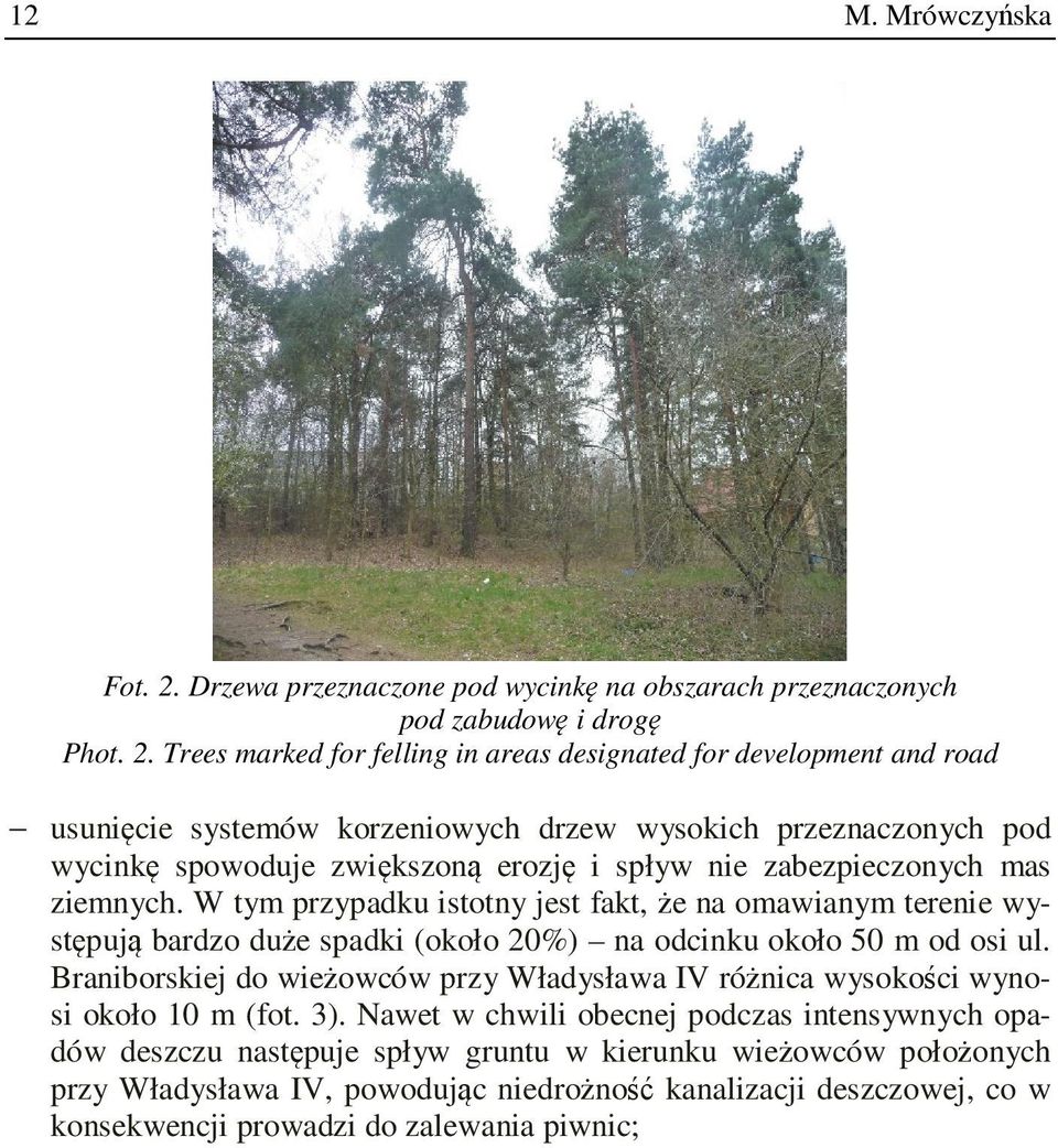 Trees marked for felling in areas designated for development and road usunięcie systemów korzeniowych drzew wysokich przeznaczonych pod wycinkę spowoduje zwiększoną erozję i spływ nie