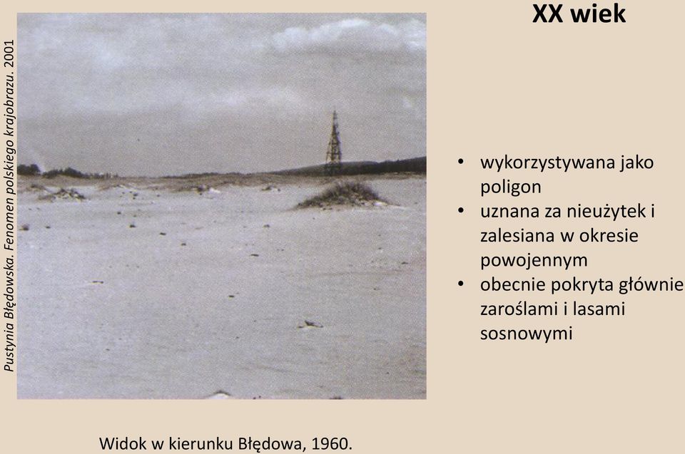 nieużytek i zalesiana w okresie powojennym obecnie