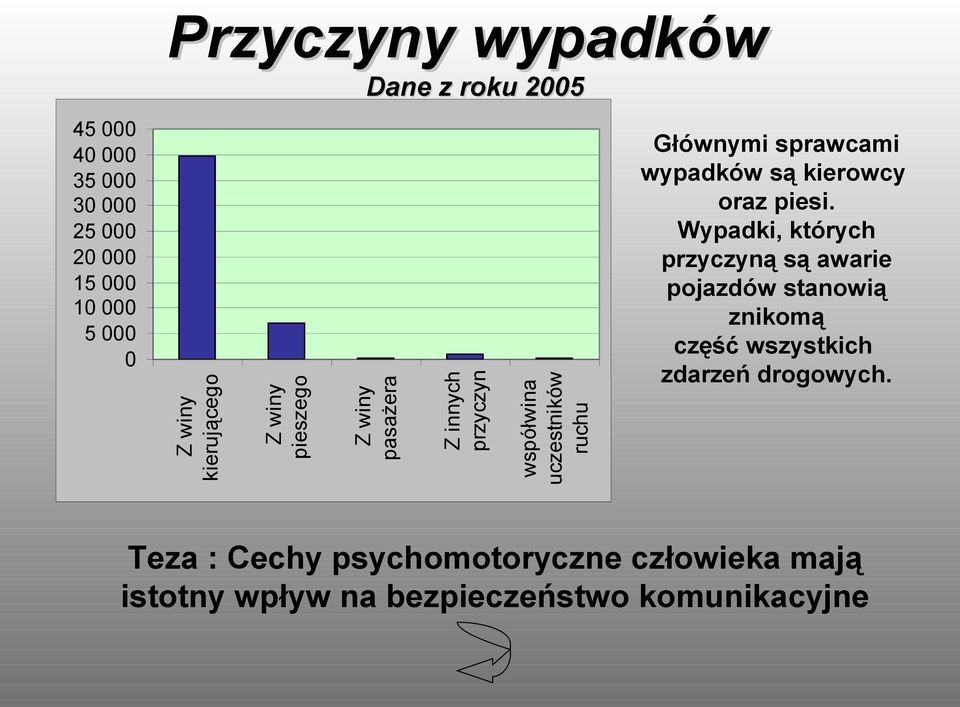 wypadków są kierowcy oraz piesi.