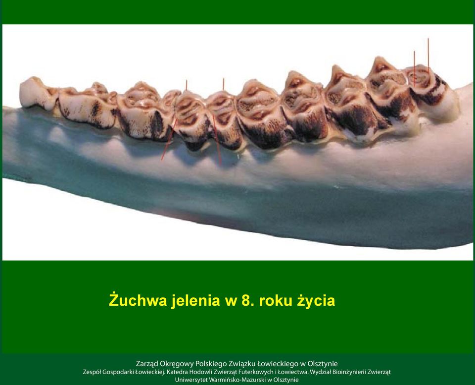 8. roku