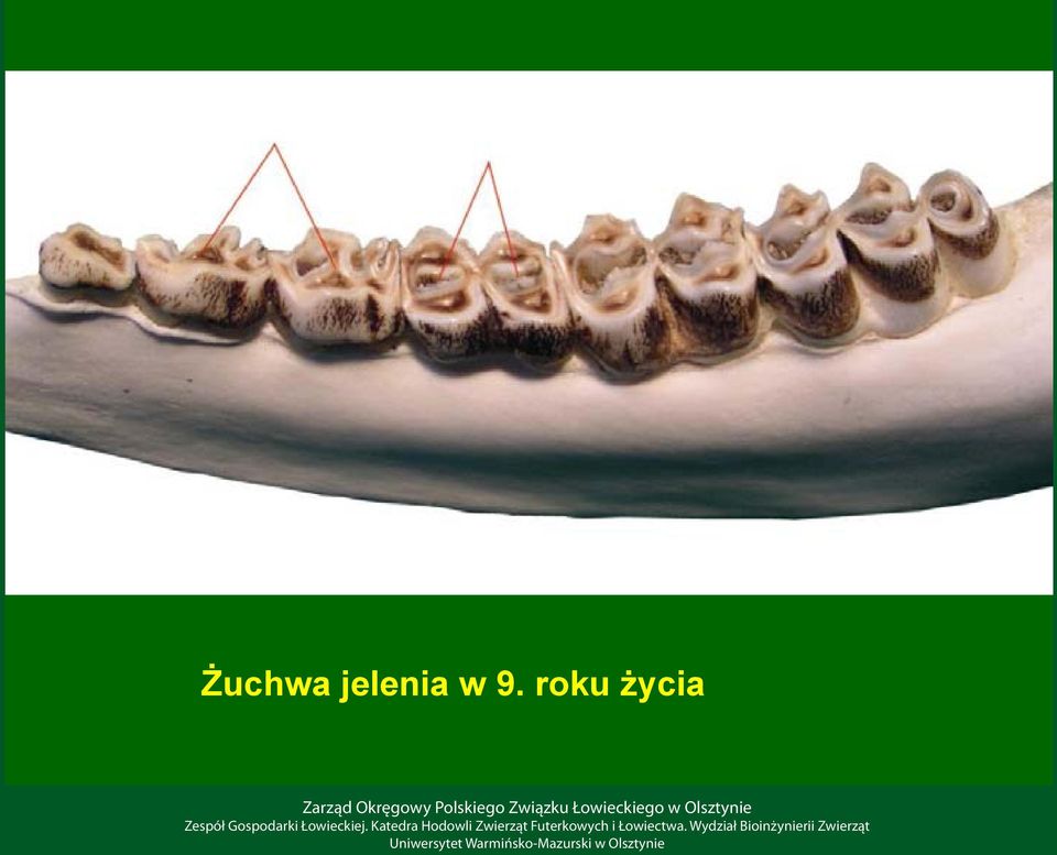 9. roku