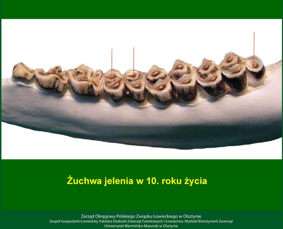10. roku