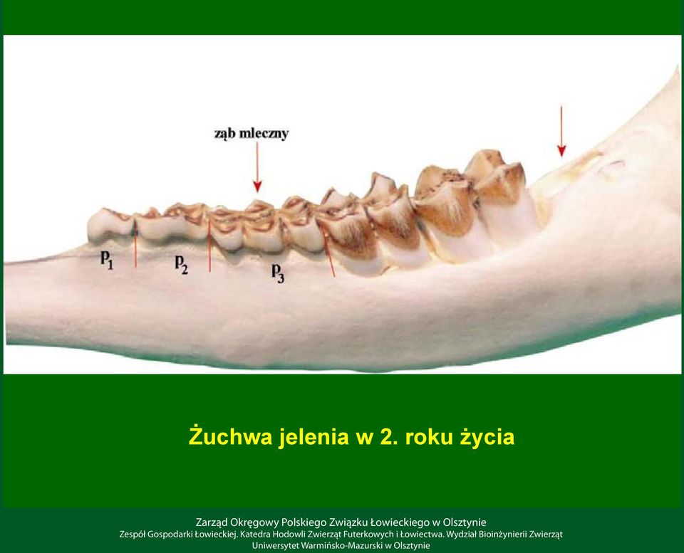 2. roku