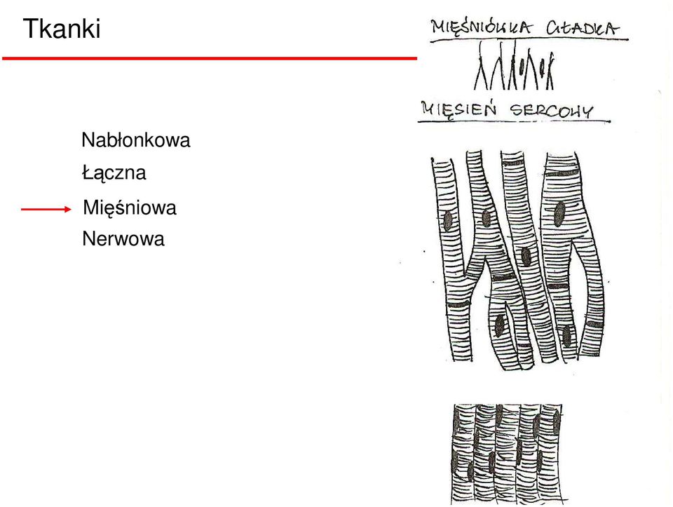 Łączna
