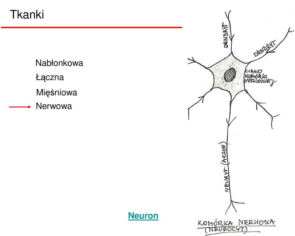 Łączna