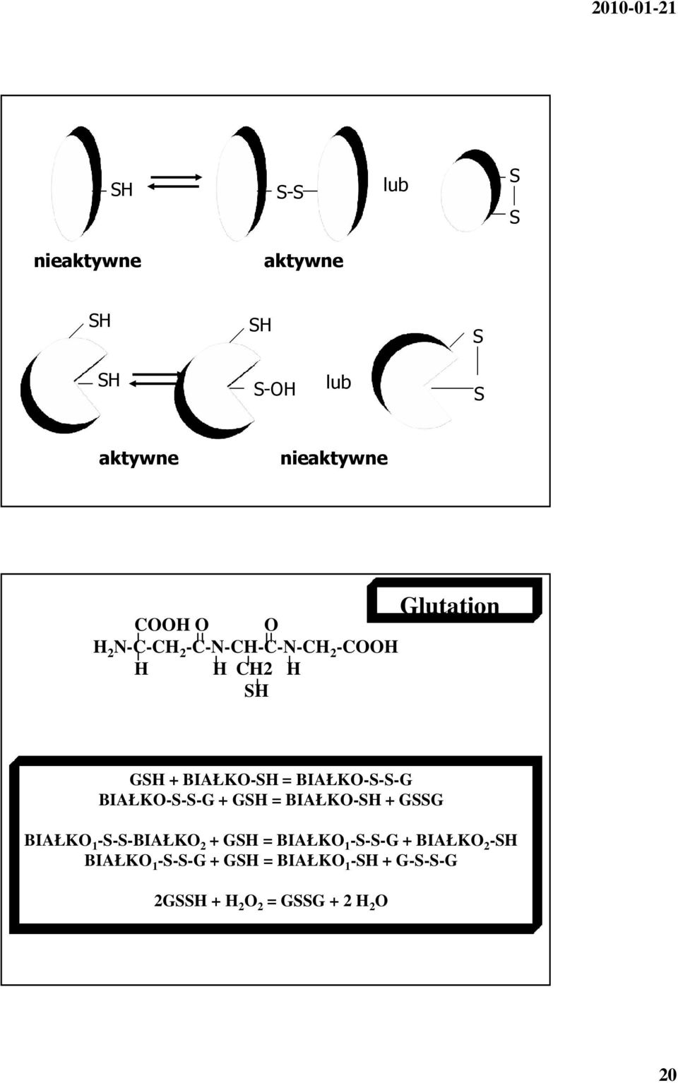 BIAŁKO-S-S-G + GSH = BIAŁKO-SH + GSSG BIAŁKO 1 -S-S-BIAŁKO 2 + GSH = BIAŁKO 1 -S-S-G +