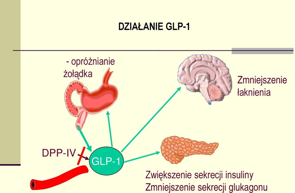 DPP-IV GLP-1 + Zwiększenie