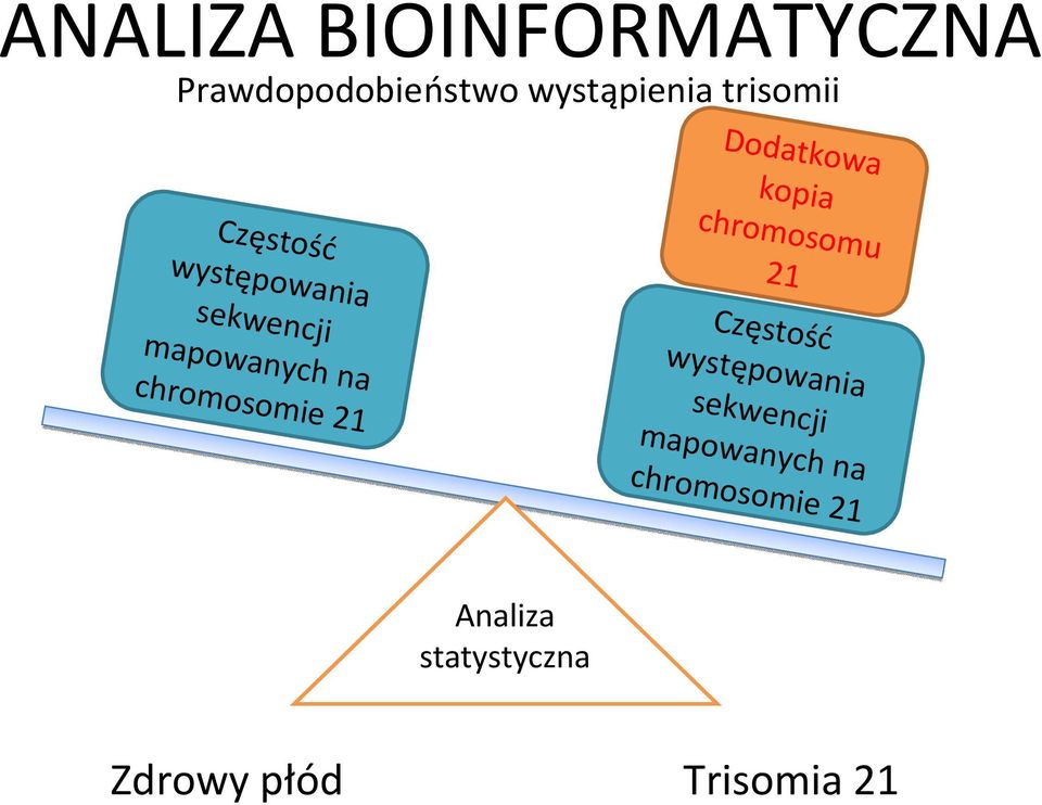 chromosomie 21 kopia chromosomu 21 Częstość występowania