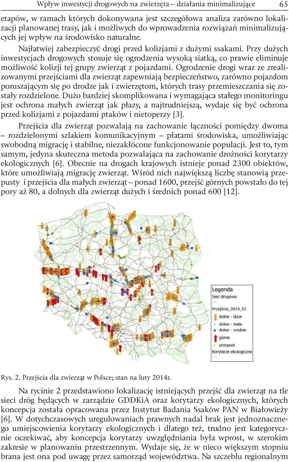 Przy dużych inwestycjach drogowych stosuje się ogrodzenia wysoką siatką, co prawie eliminuje możliwość kolizji tej grupy zwierząt z pojazdami.