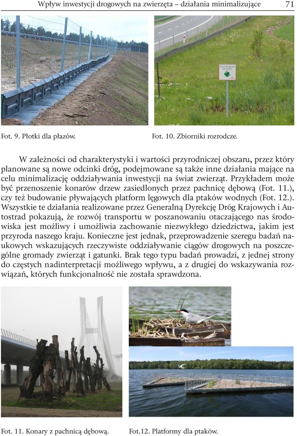 na świat zwierząt. Przykładem może być przenoszenie konarów drzew zasiedlonych przez pachnicę dębową (Fot. 11.),
