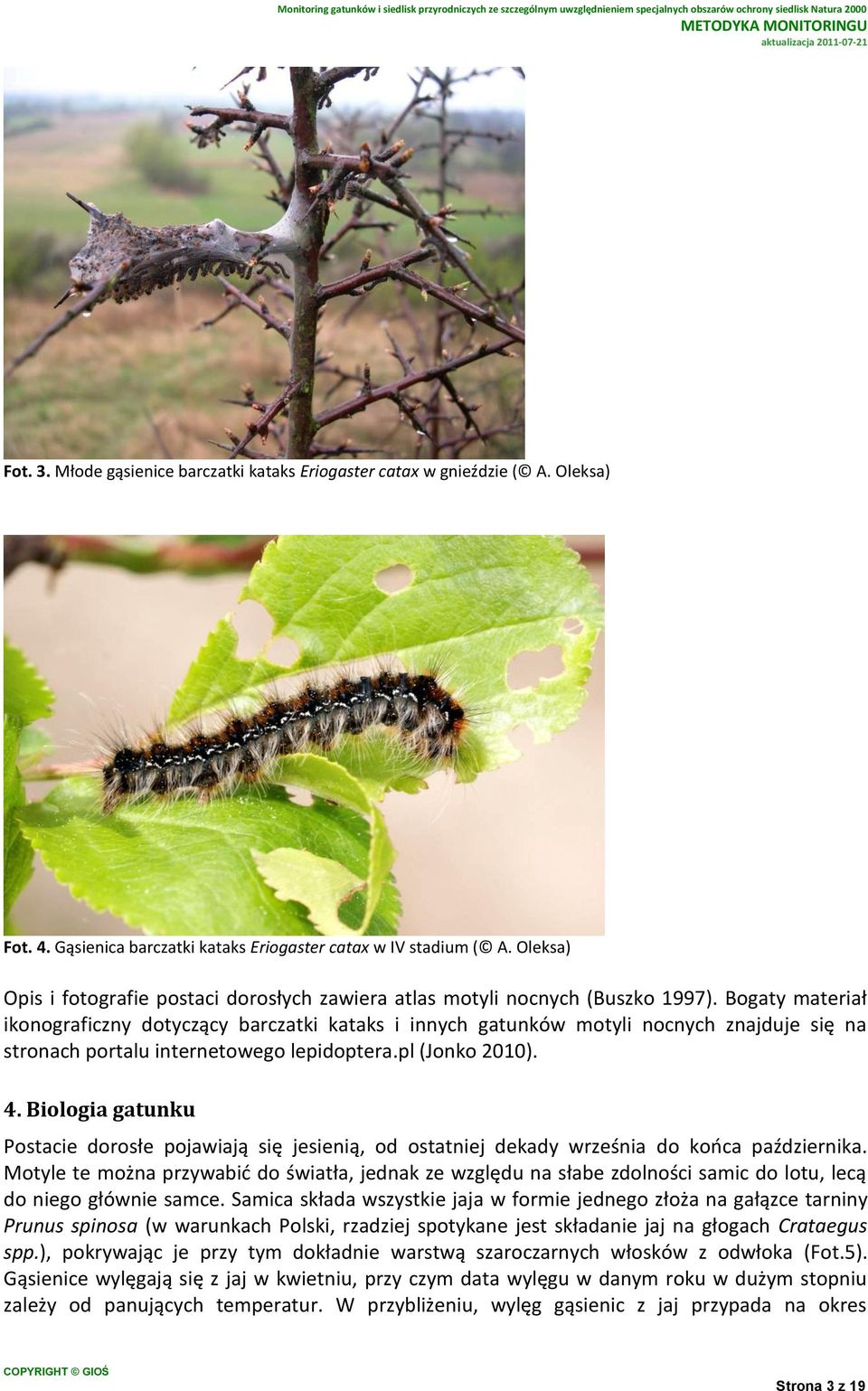Bogaty materiał ikonograficzny dotyczący barczatki kataks i innych gatunków motyli nocnych znajduje się na stronach portalu internetowego lepidoptera.pl (Jonko 2010). 4.