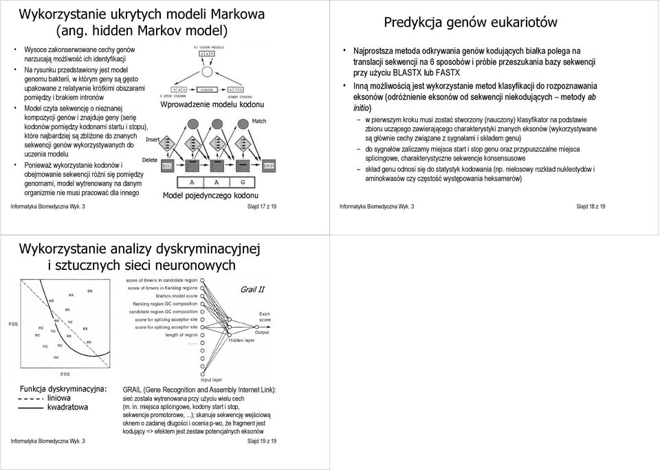 krótkimi obszarami pomiędzy i brakiem intronów Model czyta sekwencję o nieznanej kompozycji genów i znajduje geny (serię kodonów pomiędzy kodonami startu i stopu), które najbardziej są zbliżone do