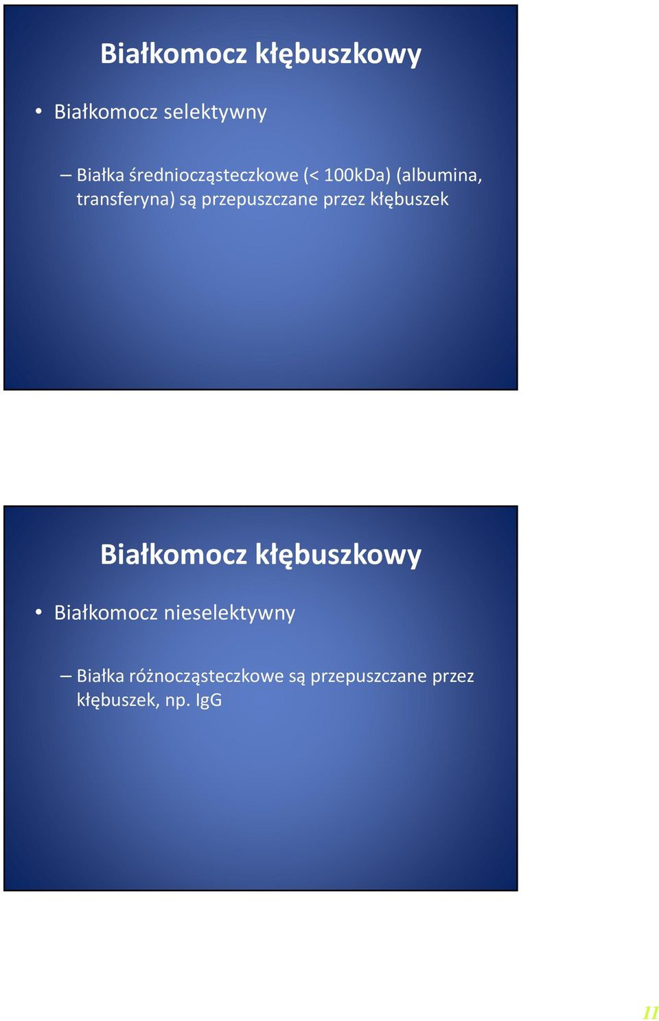 przepuszczane przez kłębuszek Białkomocz kłębuszkowy Białkomocz