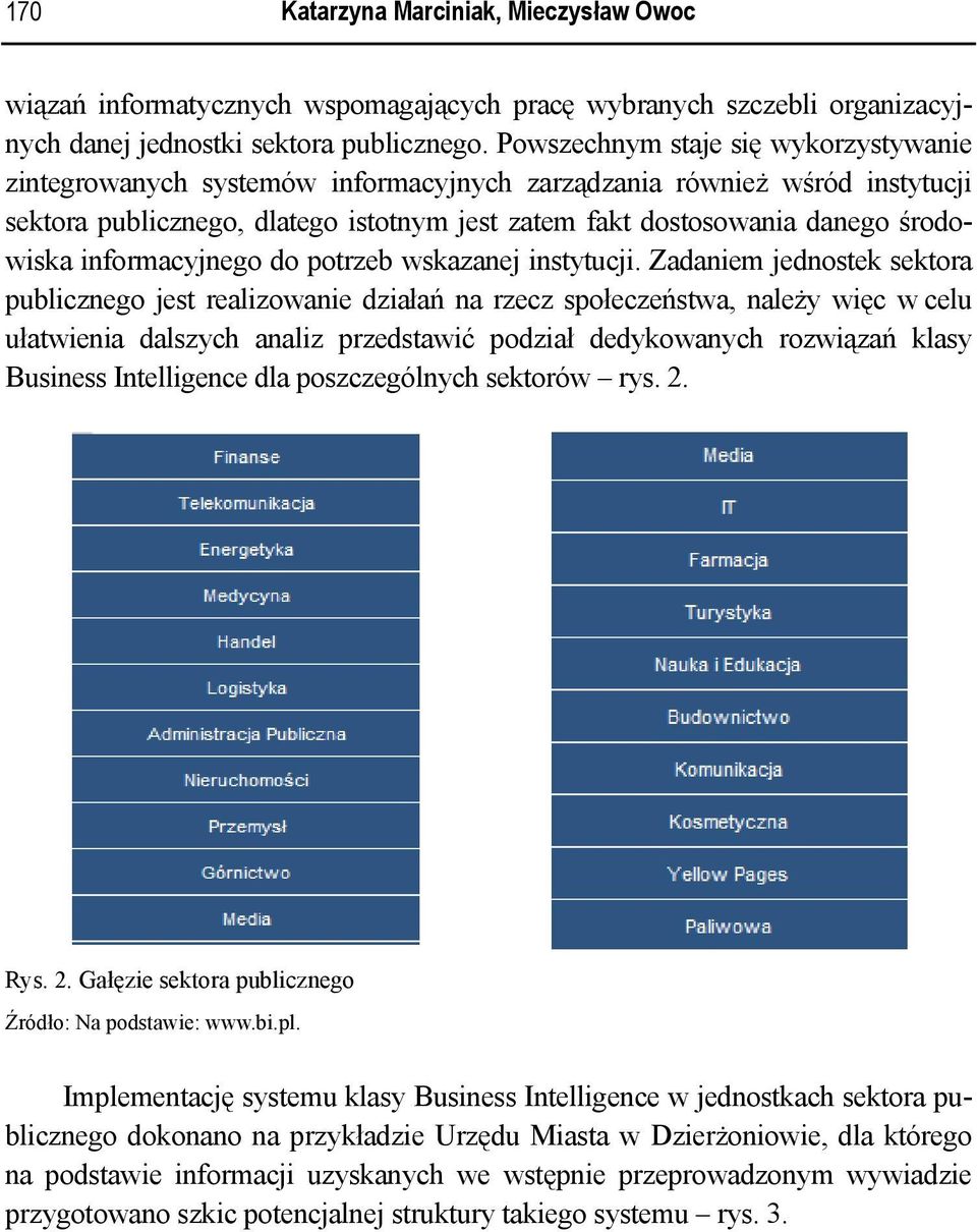 informacyjnego do potrzeb wskazanej instytucji.