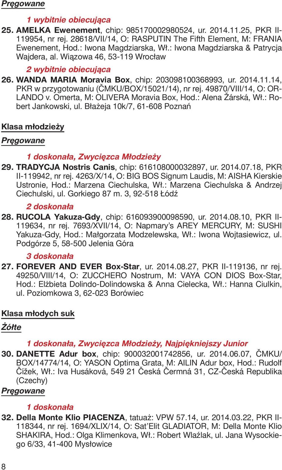 49870/VIII/14, O: OR- LANDO v. Omerta, M: OLIVERA Moravia Box, Hod.: Alena Žárská, Wł.: Robert Jankowski, ul. Błażeja 10k/7, 61-608 Poznań Klasa młodzieży 1 doskonała, Zwycięzca Młodzieży 29.